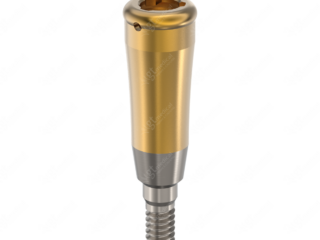 Pilar tipo Locator® + Pack Procesado, G6.5mm