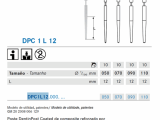 Dentinpost Coated Komet ER 10 uds