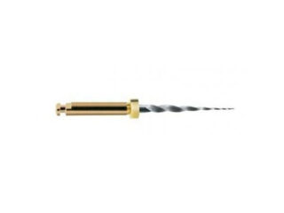 PROTAPER NEXT ACCESS OPENER FILE XA 19mm  6u.A0802